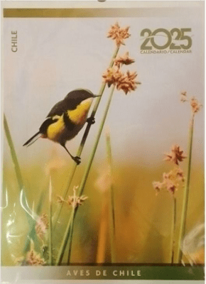 CALENDARIO AVES DE CHILE - 2025