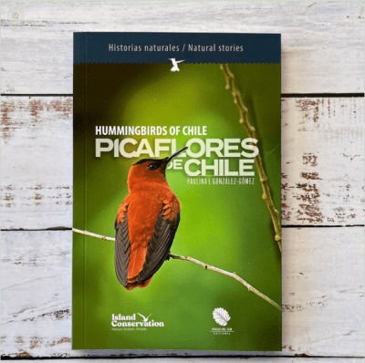 PICAFLORES DE CHILE ED BILINGÜE
