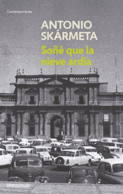 SOÑÉ QUE LA NIEVE ARDÍA