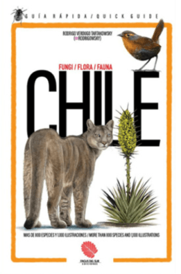 CHILE, UNA GUÍA RÁPIDA