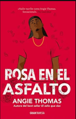 ROSA EN ASFALTO