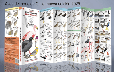 GUÍA DE BOLSILLO AVES DEL NORTE