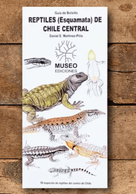REPTILES ESQUAMATA DE CHILE CENTRAL