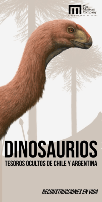 DINOSAURIOS DE CHILE Y RGENTINA