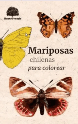 MARIPOSAS CHILENAS PARA COLOREAR