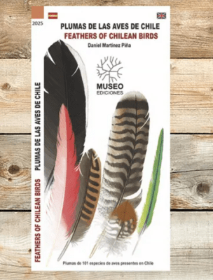 GUÍA DE BOLSILLO PLUMAS DE LAS AVES DE CHILE