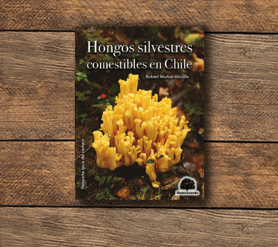HONGOS SILVESTRES COMESTIBLES EN CHILE