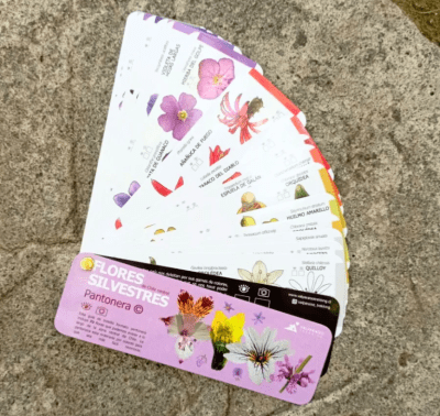 PANTONERA FLORES SILVESTRES CENTRAL