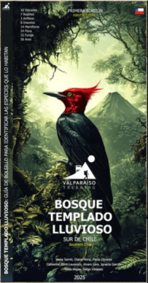 GUIA DE BOLSILLO  BOSQUE TEMPLADO LLUVIOSO