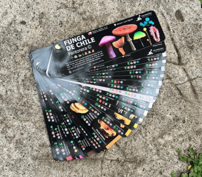 PANTONERA FUNGA DE CHILE