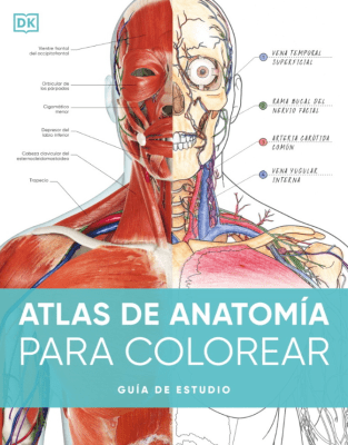 ATLAS DE ANATOMIA PARA COLOREAR