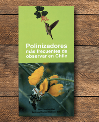 POLINIZADORES MAS FRECUENTES DE OBSERVAR EN CHILE