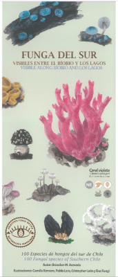FUNGA DEL SUR GUIA DESPLEGABLE