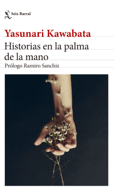 HISTORIAS EN LA PALMA DE LA MANO