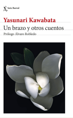 UN BRAZO Y OTROS CUENTOS