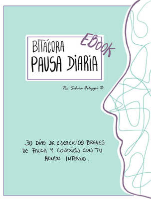 BITÁCORA PAUSA DIARIA