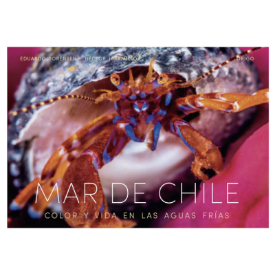 MAR DE CHILE