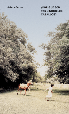 ¿POR QUÉ SON TAN LINDOS LOS CABALLOS?