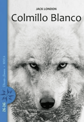 COLMILLO BLANCO