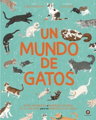 UN MUNDO DE GATOS