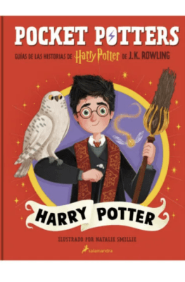POCKET POTTERS – HARRY POTTER