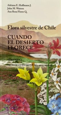 CUANDO EL DESIERTO FLORECE