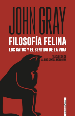 FILOSOFÍA FELINA: LOS GATOS Y EL SENTIDO DE LA VIDA