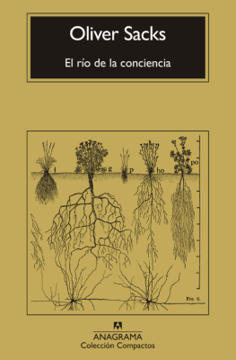 EL RIO DE LA CONCIENCIA