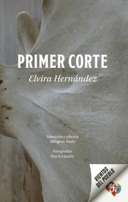 PRIMER CORTE
