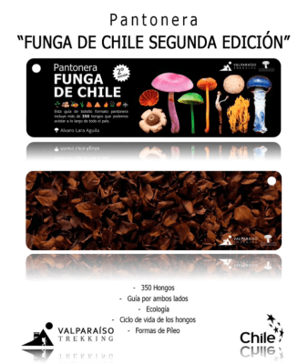 PANTONERA FUNGA DE CHILE