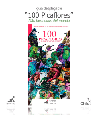 GUÍA DESPLEGABLE 100 PICAFLORES MÁS HERMOSOS DEL MUNDO