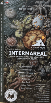 GUÍA DESPLEGABLE INTERMAREAL
