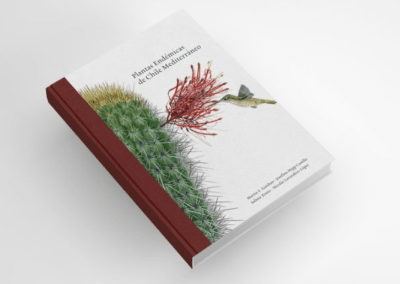 PLANTAS ENDEMICAS DE CHILE MEDITERRANEO