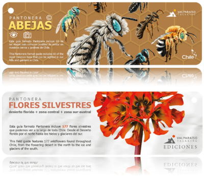 PANTONERA DOBLE ABEJAS Y FLORES SILVESTRES