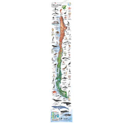 MAPA CHILE Y EL MAR