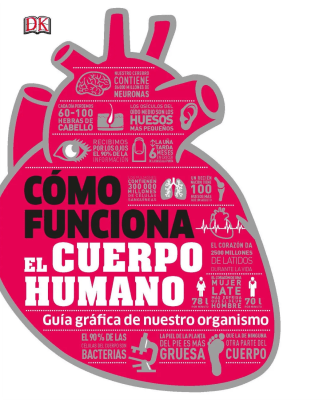 CÓMO FUNCIONA EL CUERPO HUMANO