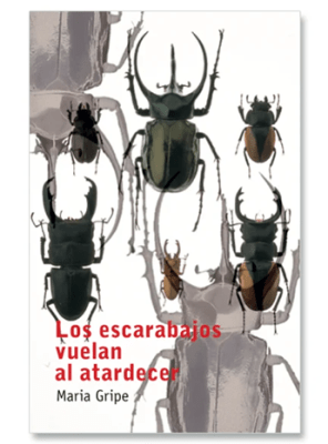 LOS ESCARABAJOS VUELAN AL ATARDECER