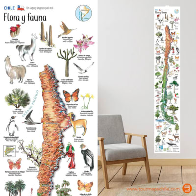 MAPA ILUSTRADO FLORA Y FAUNA DE CHILE