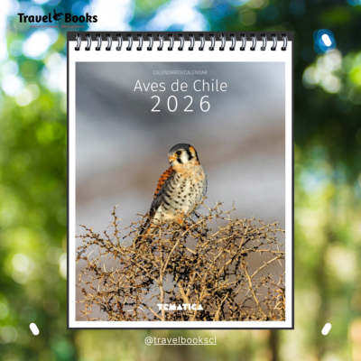 CALENDARIO MURAL 2026 - AVES DE CHILE