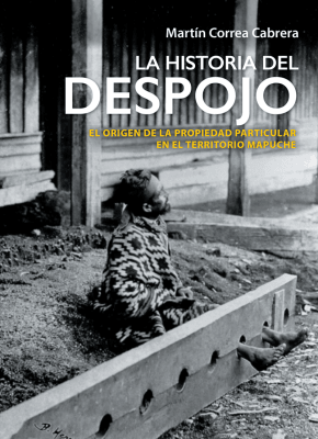 LA HISTORIA DEL DESPOJO