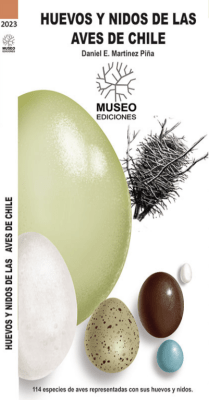 AVES CONTINENTALES DE CHILE CENTRAL DESPLEGABLEE