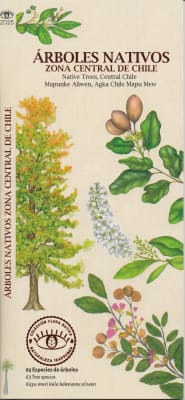 ARBOLES NATIVOS ZONA CENTRAL DE CHILE - GUIA DESPLEGABLE