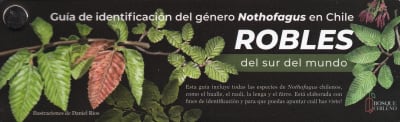 PANTONERA ROBLES DEL SUR DEL MUNDO