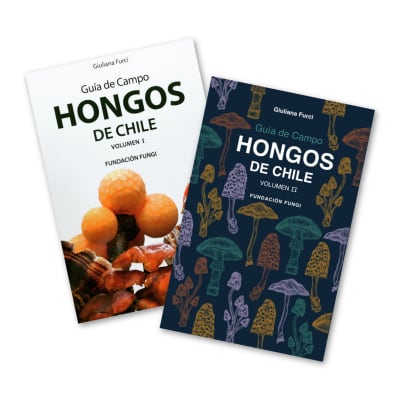GUIA DE CAMPO HONGOS DE CHILE VOL2