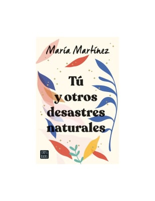 TU Y OTROS DESASTRES NATURALES