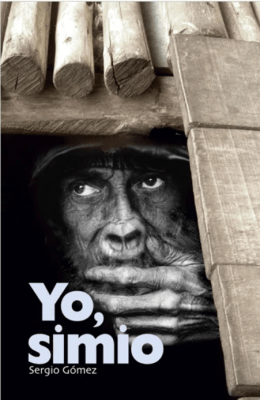 YO, SIMIO