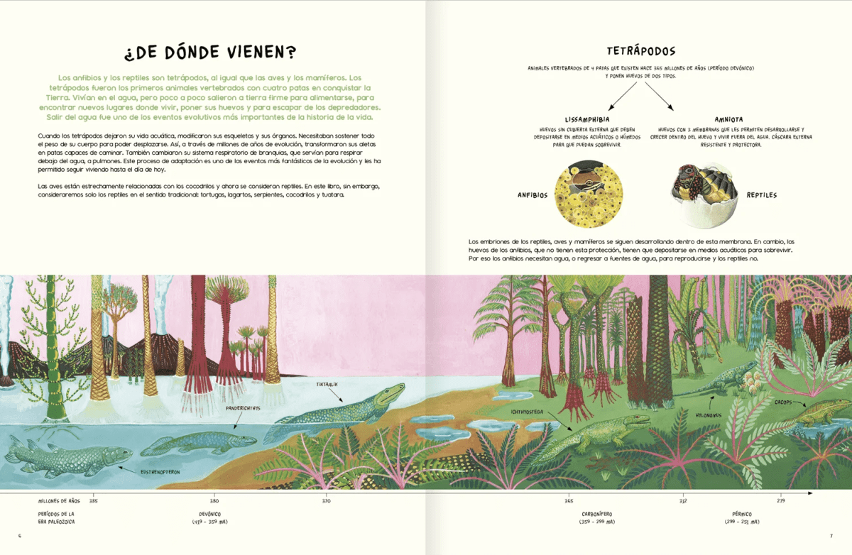AGUA Y TIERRA: ANFIBIOS Y REPTILES DE AMÉRICA2