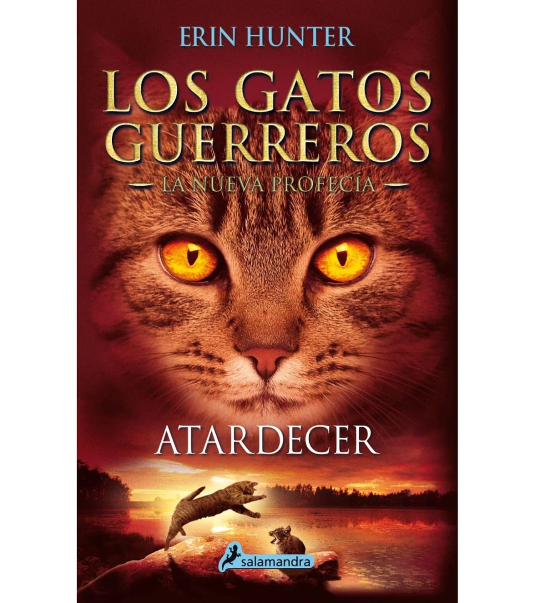 LOS GATOS GUERREROS ATARDECER1