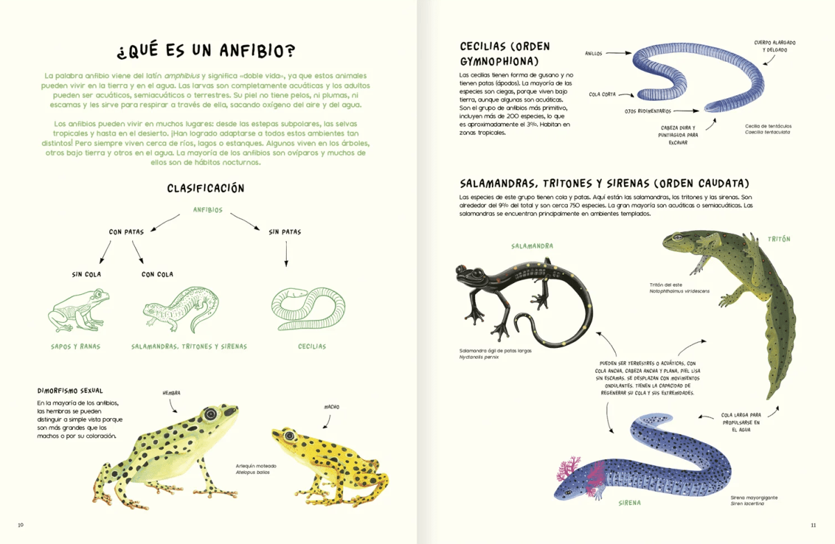 AGUA Y TIERRA: ANFIBIOS Y REPTILES DE AMÉRICA3