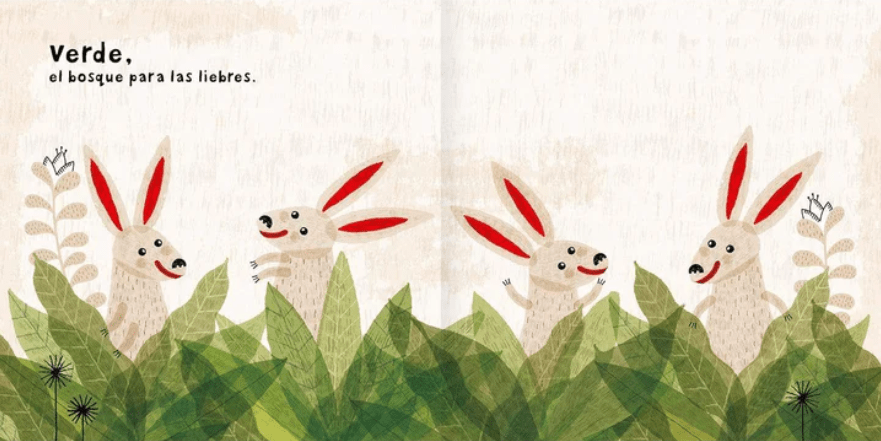 COLORES5